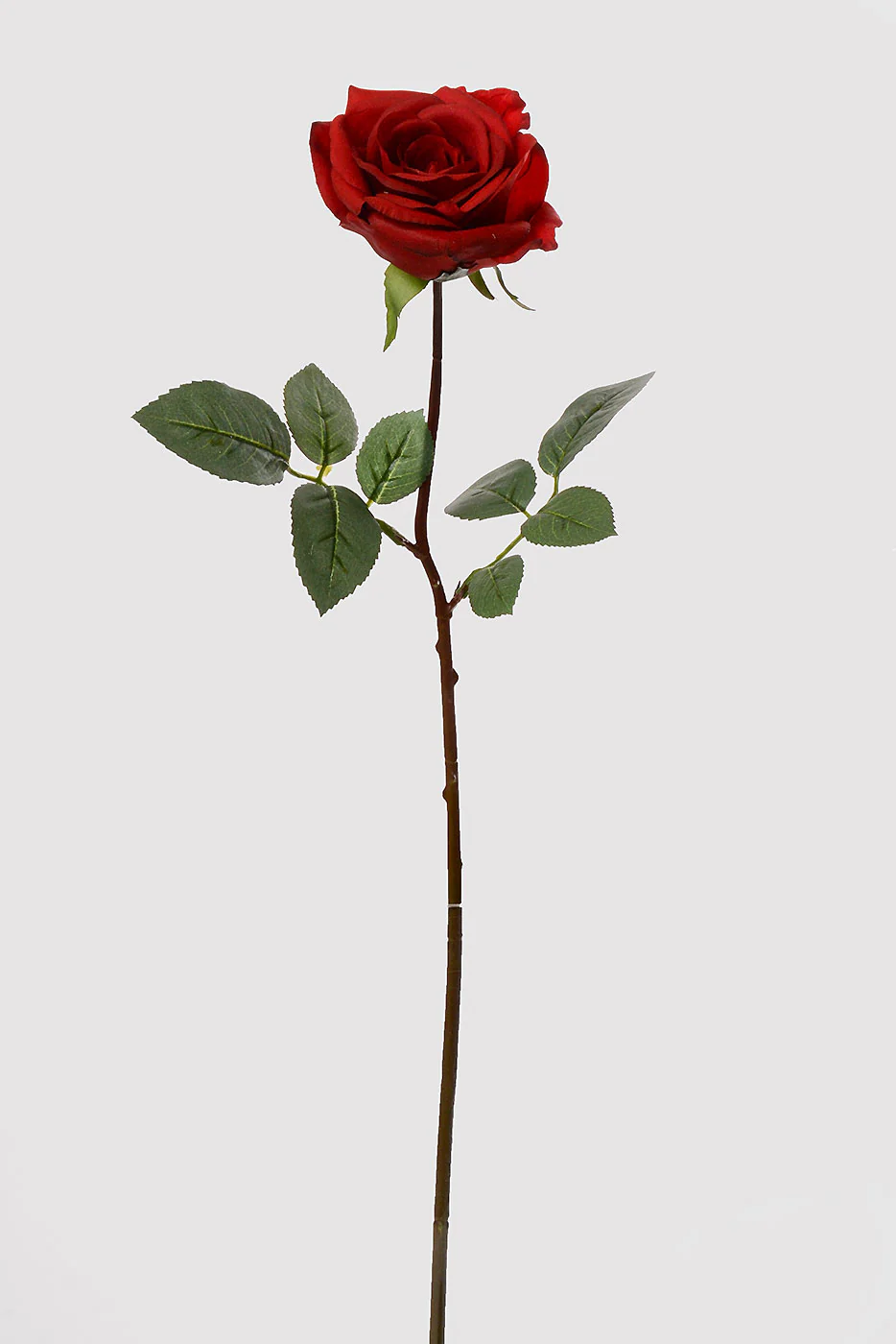 27" Silk Real Touch Rose Red