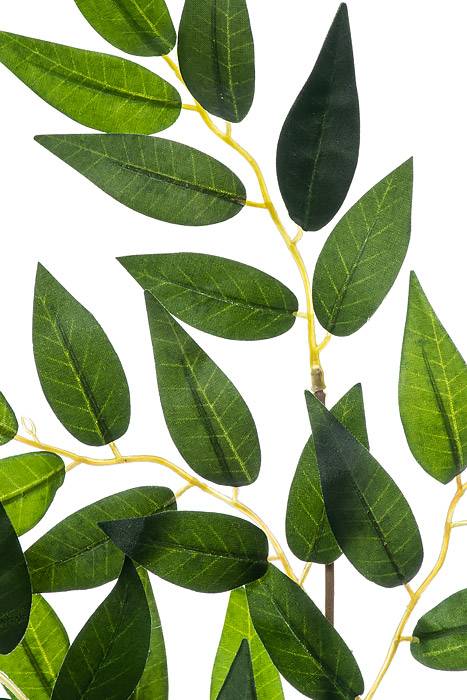 27" Silk Smylax Spray Pkg/12 - Image 3