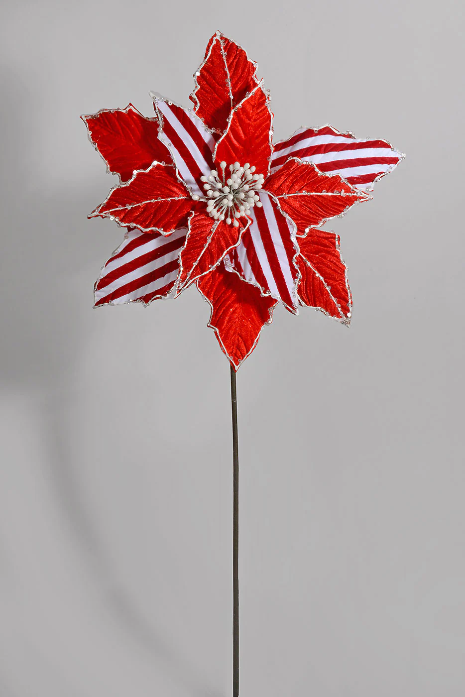 27" X 12" Stripe Poinsettia Stem Red/White