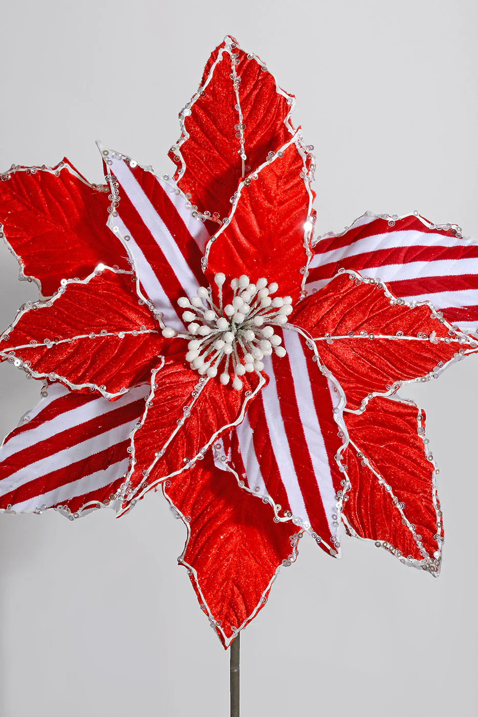 27" X 12" Stripe Poinsettia Stem Red/White - Image 2