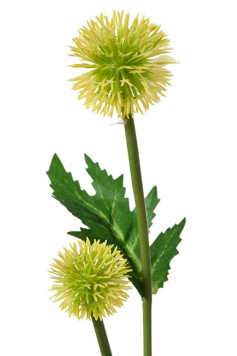 28.5" Globe Thistle Spray Yellow - Image 2
