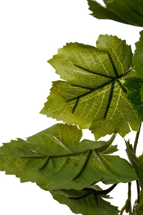 28.5" Grape Leaf Hanging Bush Green - Image 2