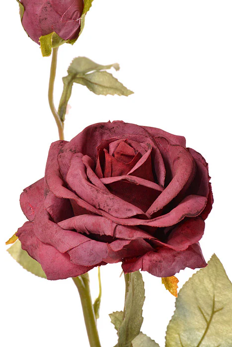28.5" Silk Rose Spray Beauty - Image 2
