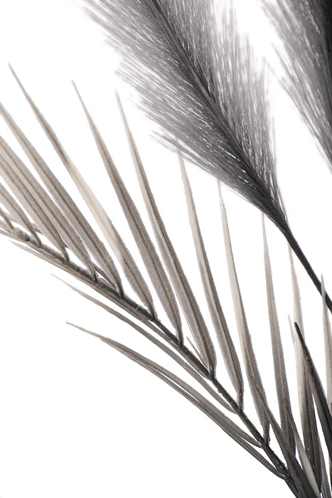 28" Pampas Grass Spray Grey - Image 2