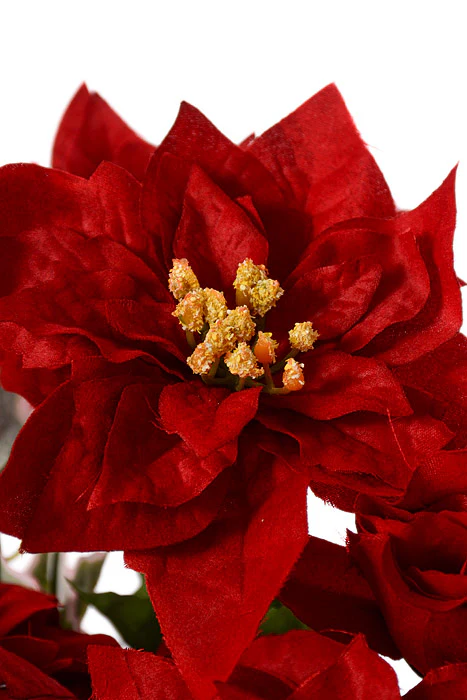 28" Rose/Rose Bud/Poinsettia Red - Image 2