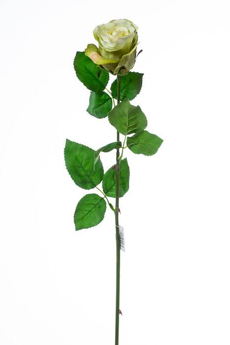 28" Rose Stem Green