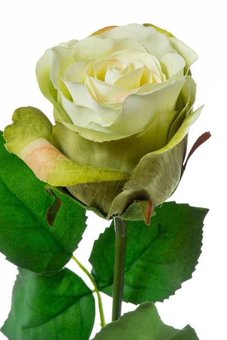 28" Rose Stem Green - Image 2