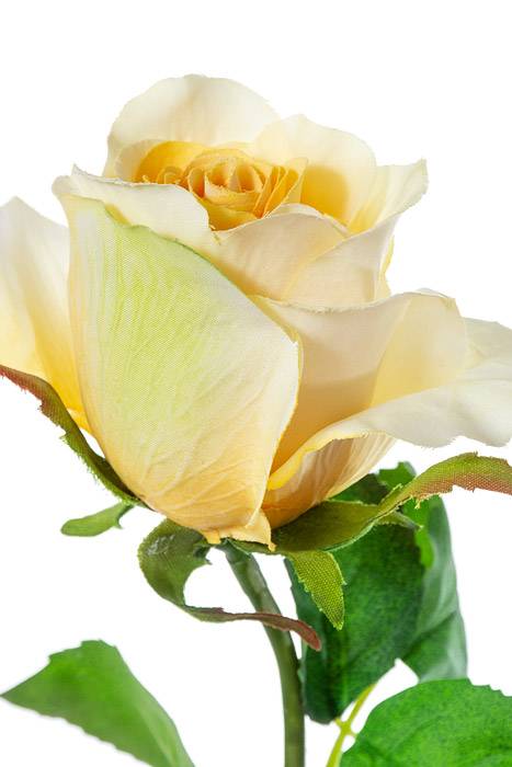 28" Rose Stem Yellow - Image 2