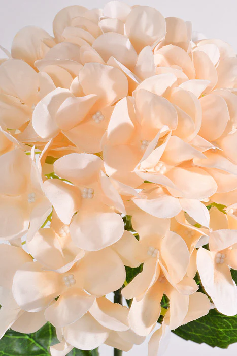 28" Silk Hydrangea Spray Cream - Image 2