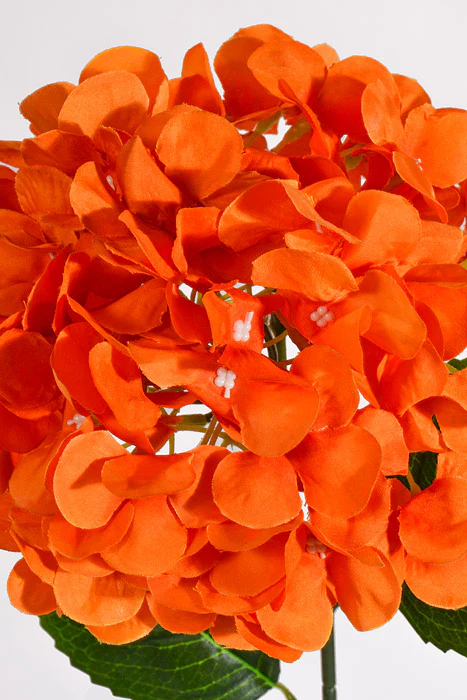 28" Silk Hydrangea Spray Orange - Image 2