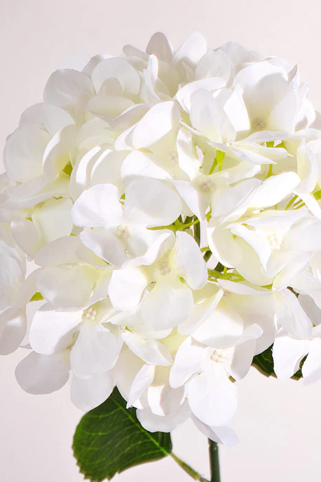 28" Silk Hydrangea Spray White - Image 2
