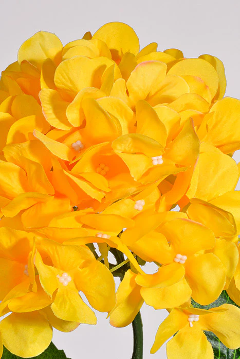 28" Silk Hydrangea Spray Yellow - Image 2