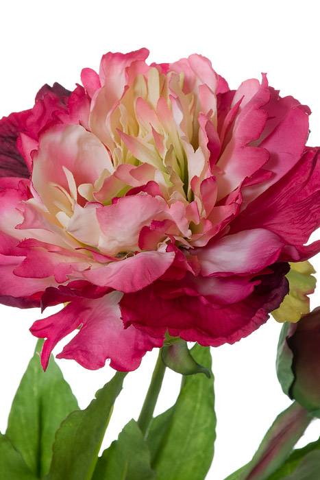28" Silk Peony Spray Beauty/cream - Image 2