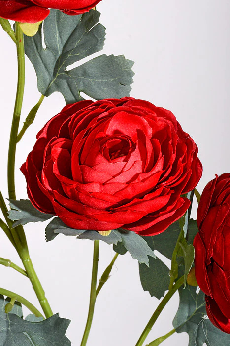 28" Silk Ranunculus W/2 Buds Spray Red - Image 2