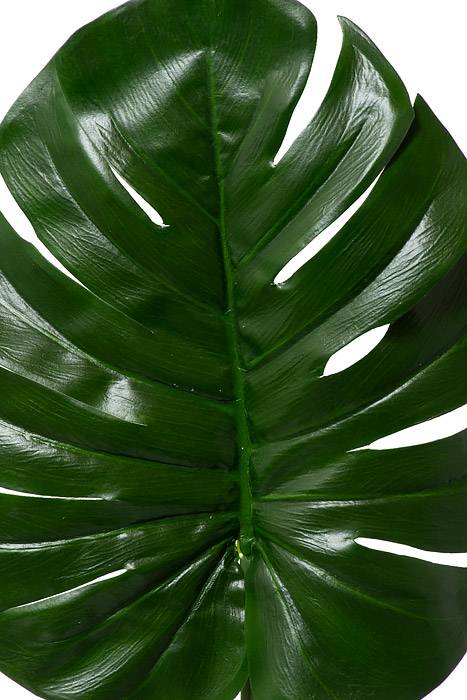 28" Split Philo Leaf Green - Image 2