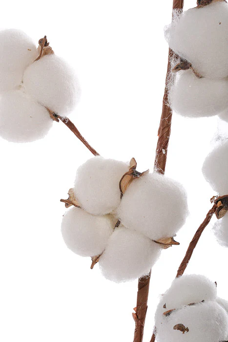 29.5" Cotton Pod Spray White/Natural - Image 2