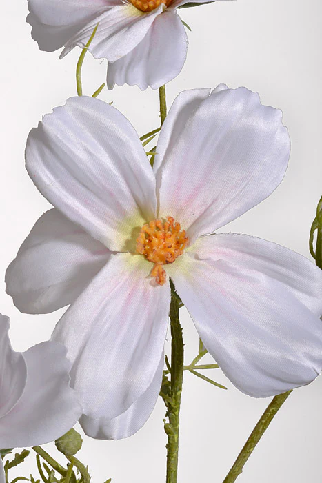 29.5" Silk Cosmos Spray White - Image 2
