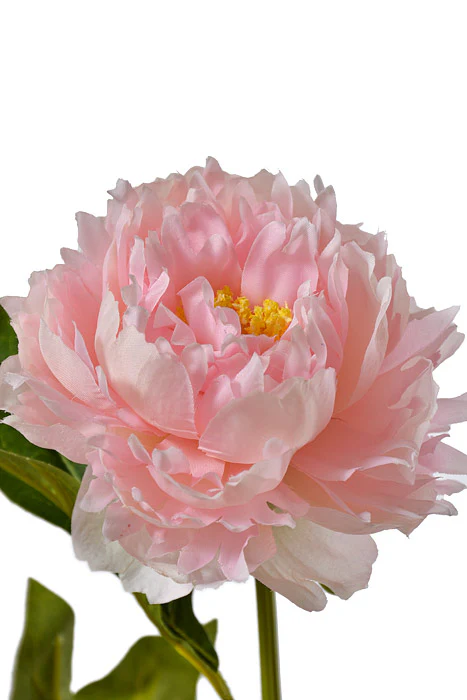 29.5" Silk Peony Spray Light Pink - Image 2