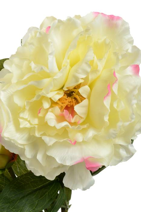 29.5" Silk Peony Spray W/bud Cream/pink - Image 2