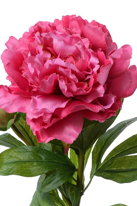29.5" Silk Peony Spray W/bud Fuschia - Image 2