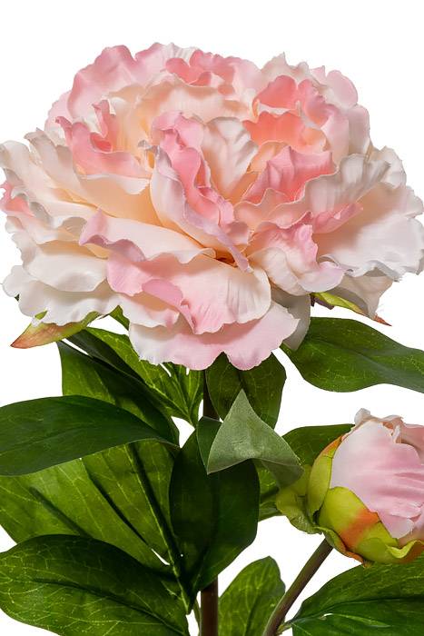 29.5" Silk Peony Spray W/bud Light Pink - Image 2