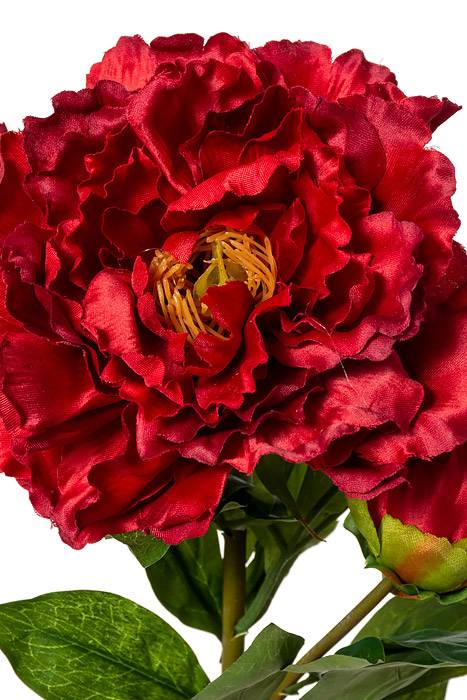 29.5" Silk Peony Spray W/bud Red - Image 2