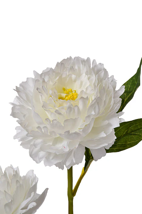 29.5" Silk Peony Spray White - Image 2