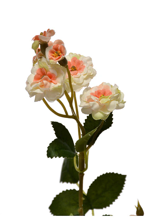 29.5" Silk Wild Rose Spray Peach - Image 2