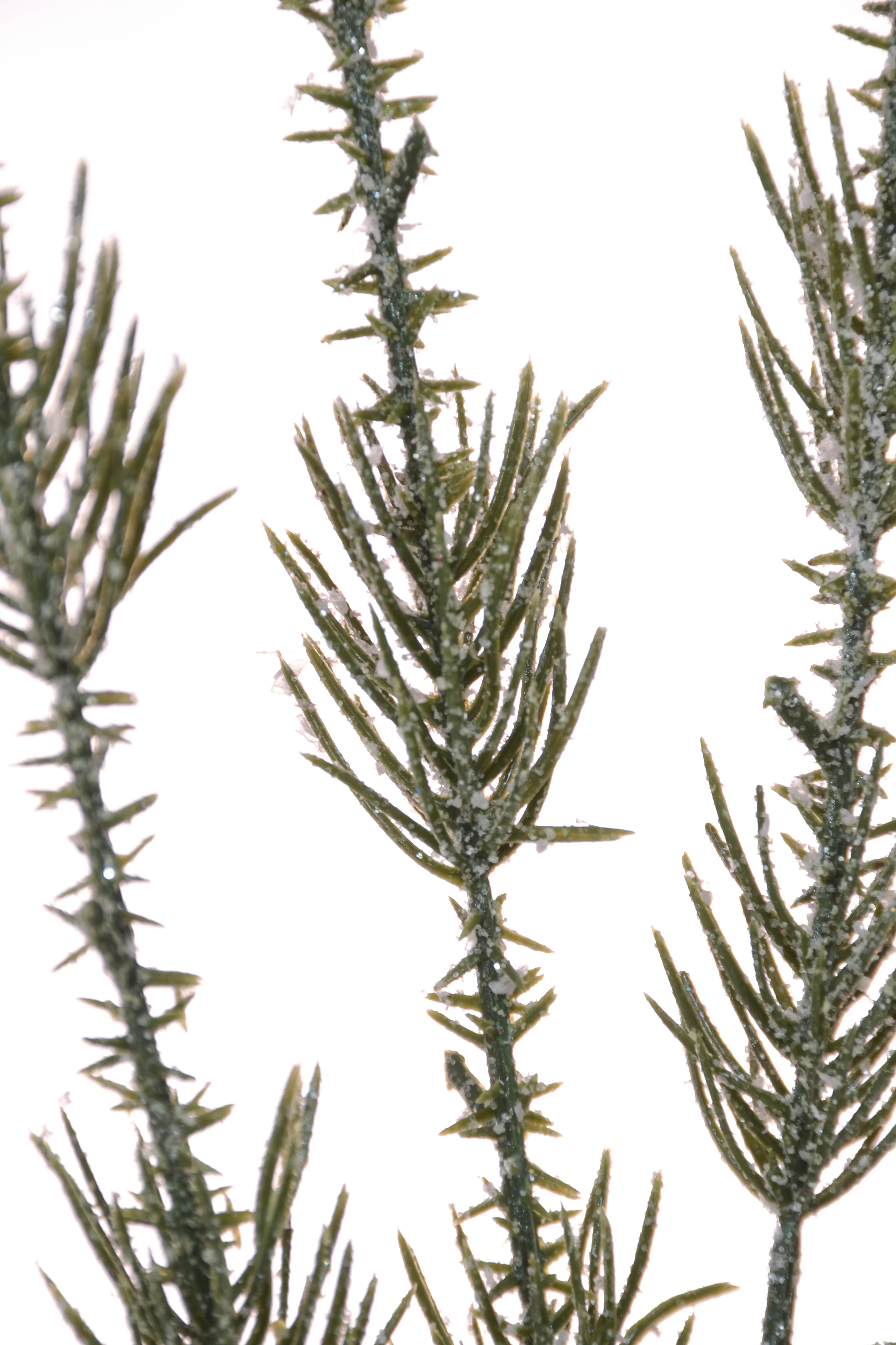 29.75" Glittered Pine Spray Green/Silver - Image 2