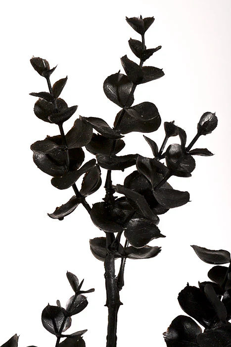 29" Artificial Eucalyptus Spray Black - Image 2