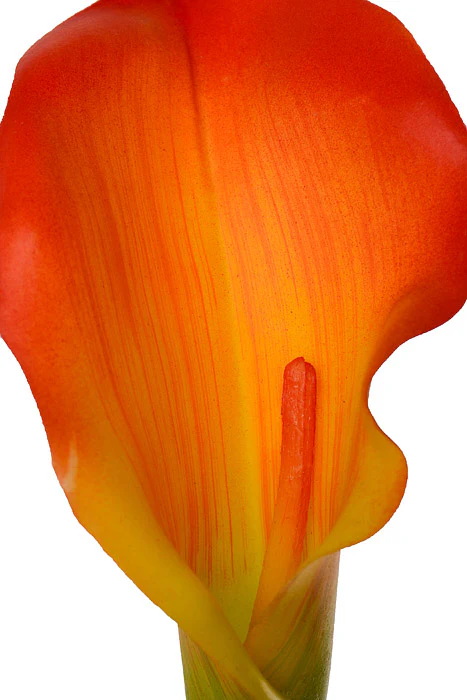 29" Calla Lily Spray Orange - Image 2