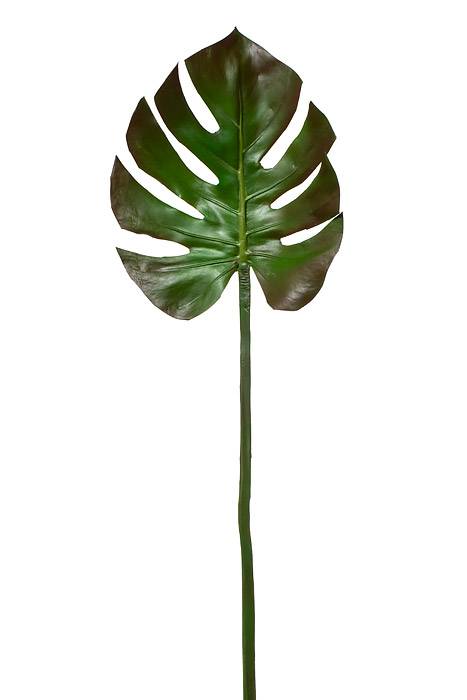 29" Monstera Leaf Spray Green/Brown