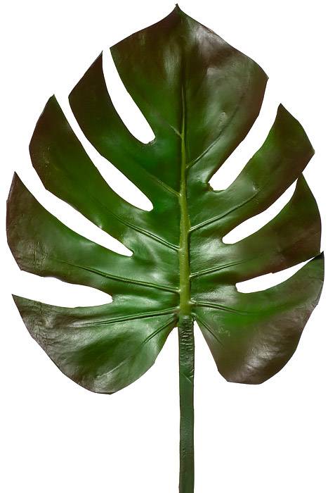 29" Monstera Leaf Spray Green/Brown - Image 2