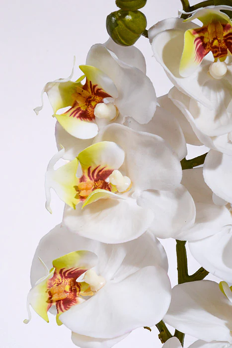 29" Real Touch Phalaenopsis Spray White - Image 2