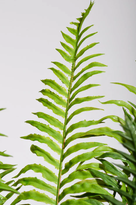 29" Real Touch Ruffle Fern Green - Image 2