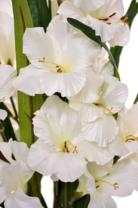 29" Satin Gladiolus Bush Cream - Image 2