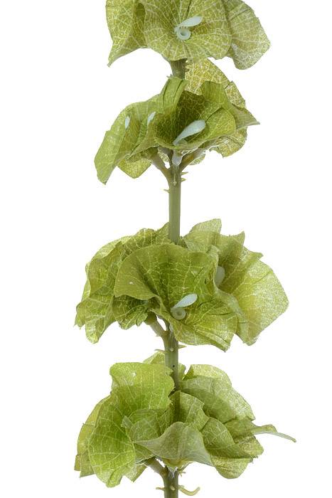 29" Silk Bells Of Ireland Green - Image 2