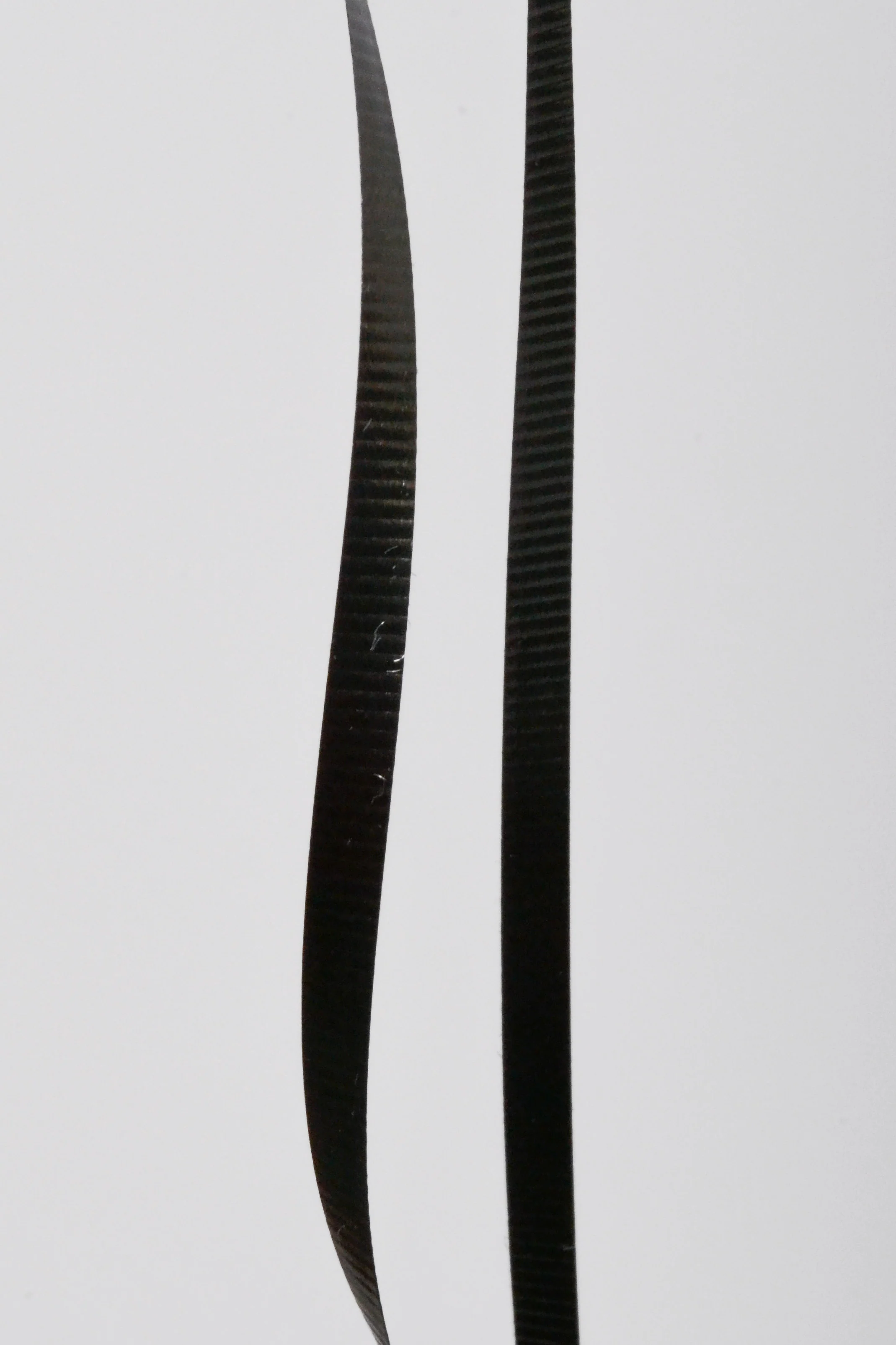 3/16" X 500Y Crimped Curling Ribbon Black - Image 3