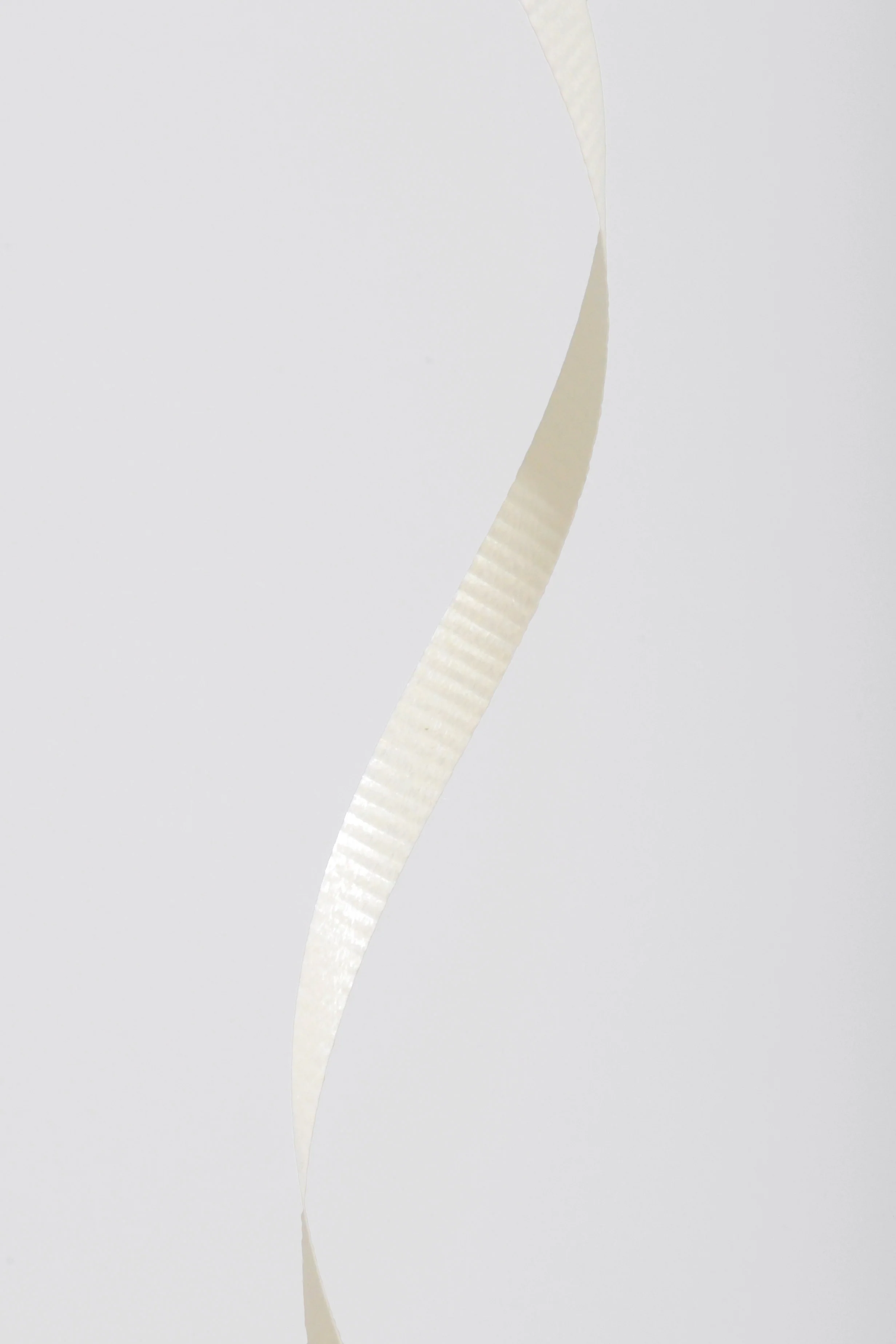 3/16" X 500Y Crimped Curling Ribbon Ivory - Image 3