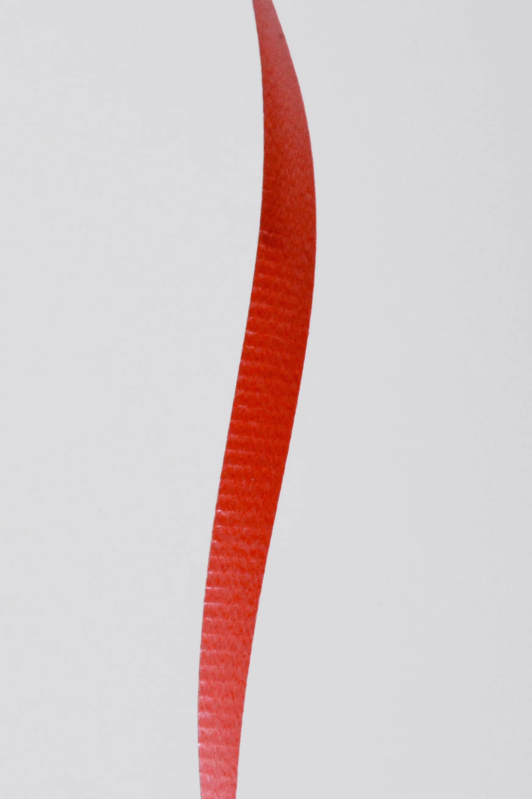 3/16" X 500Y Crimped Curling Ribbon Red - Image 3