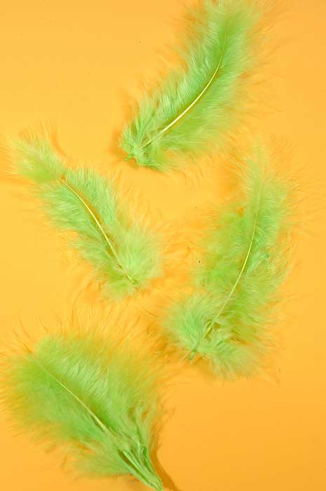 3.5" Ostrich Feathers Lime Green Pkg/100 - Image 2