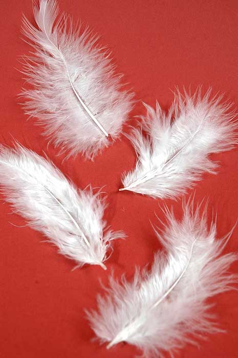 3.5" Ostrich Feathers White Pkg/100 - Image 2