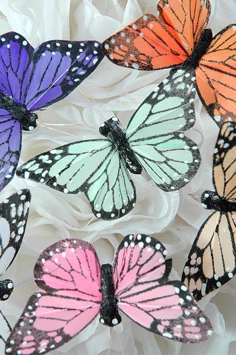 3" Butterfly Assorted Pkg/12