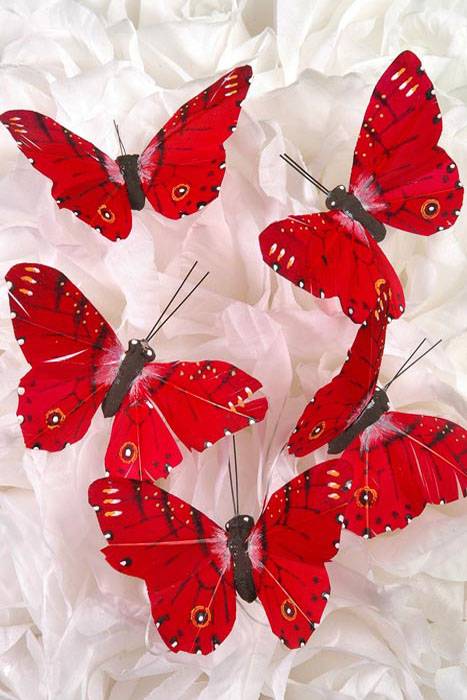 3" Butterfly Red Pkg/12