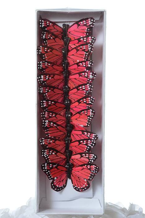 3" Feather Butterfly Coral/red Pkg/12 - Image 2