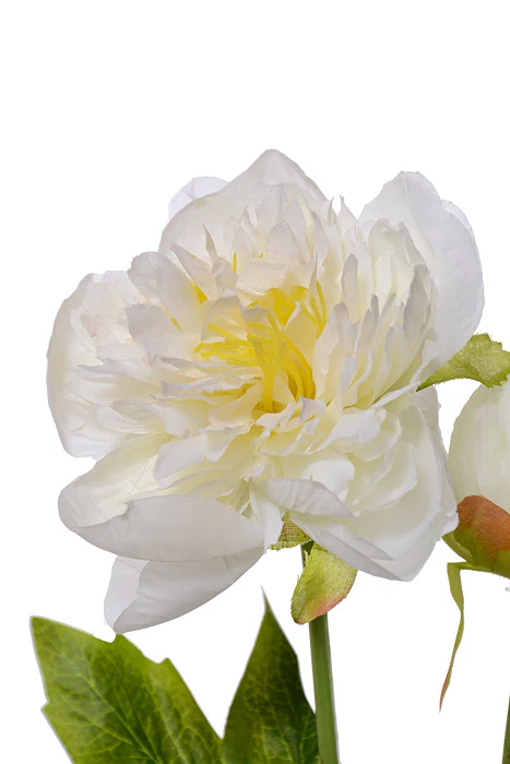 30.5" Silk Peony Spray White - Image 2