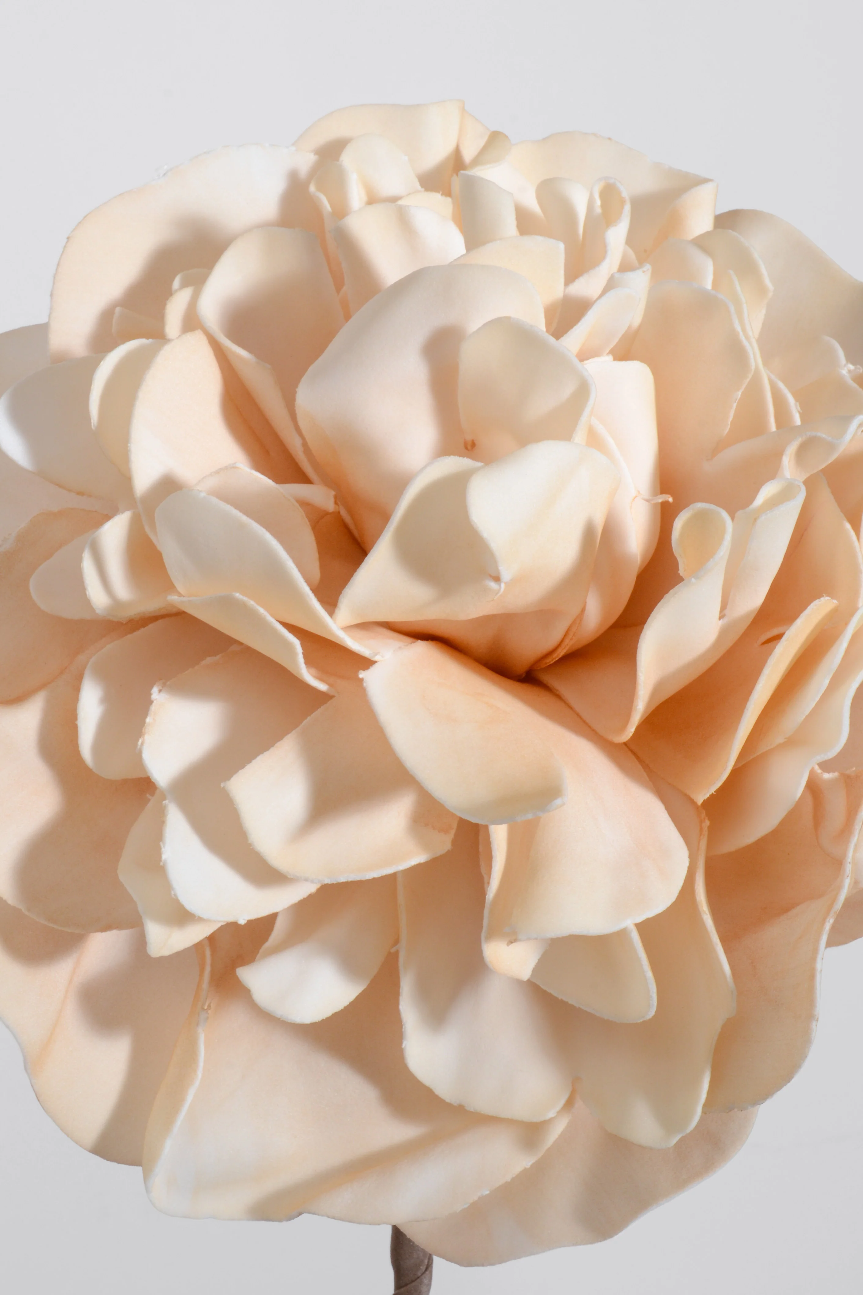 30" Artificial Eva Flower Stem Beige - Image 2