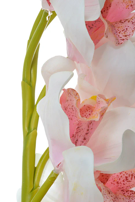 30" Cymbidium Stem Light Pink - Image 2