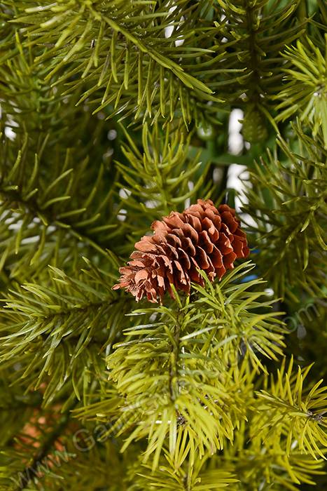 30" Pine Cone Topiary Green - Image 2