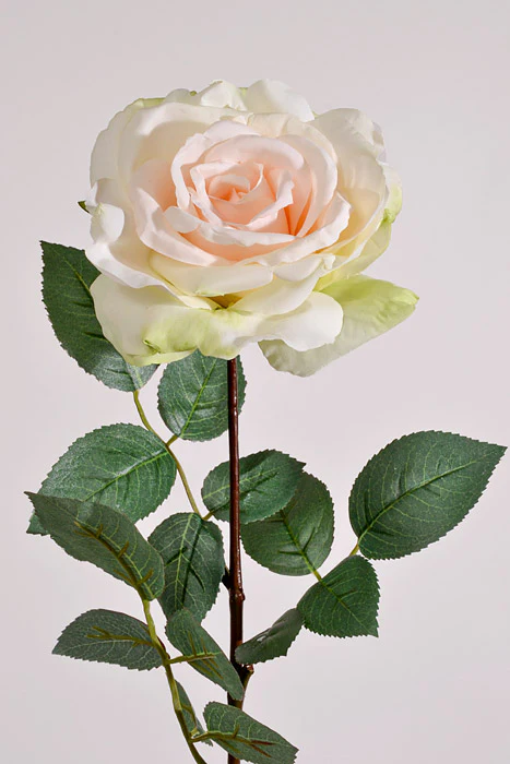 30" Silk Queen Anne Rose Cream/Peach - Image 2